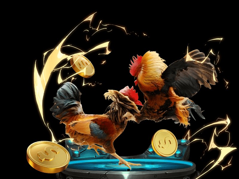 Trò chơi đá gà truyền thống